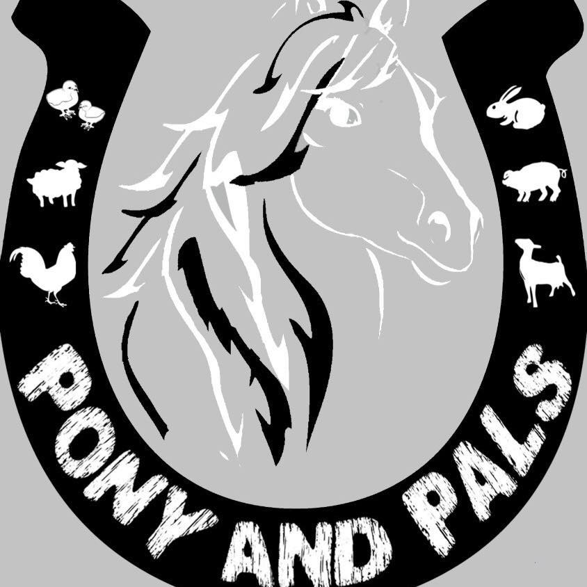 PonyandPals – We Bring the Pony and the Zoo to You!
